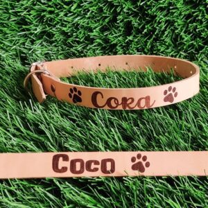 collar mascota cuero nombre